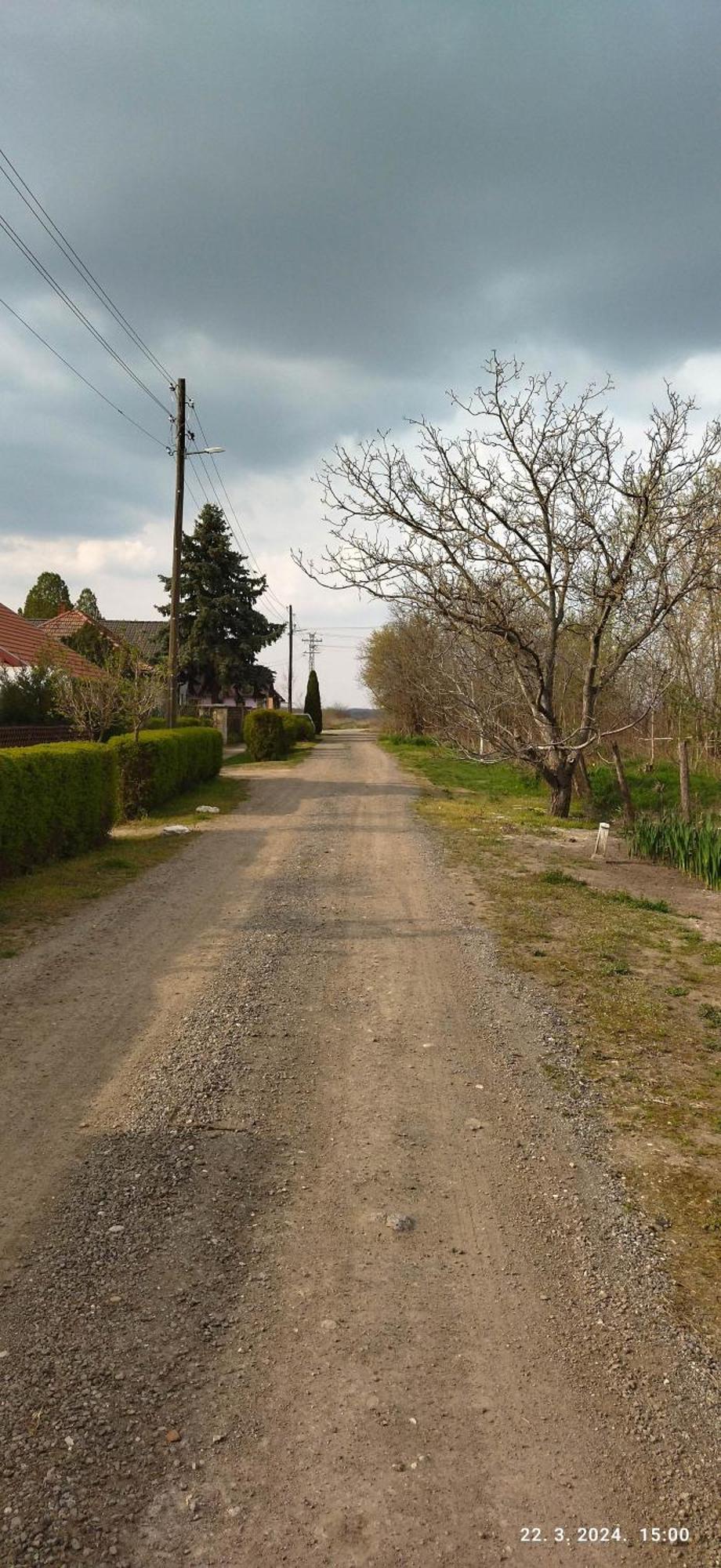 Apartman Dve Lipe Palic Bagian luar foto