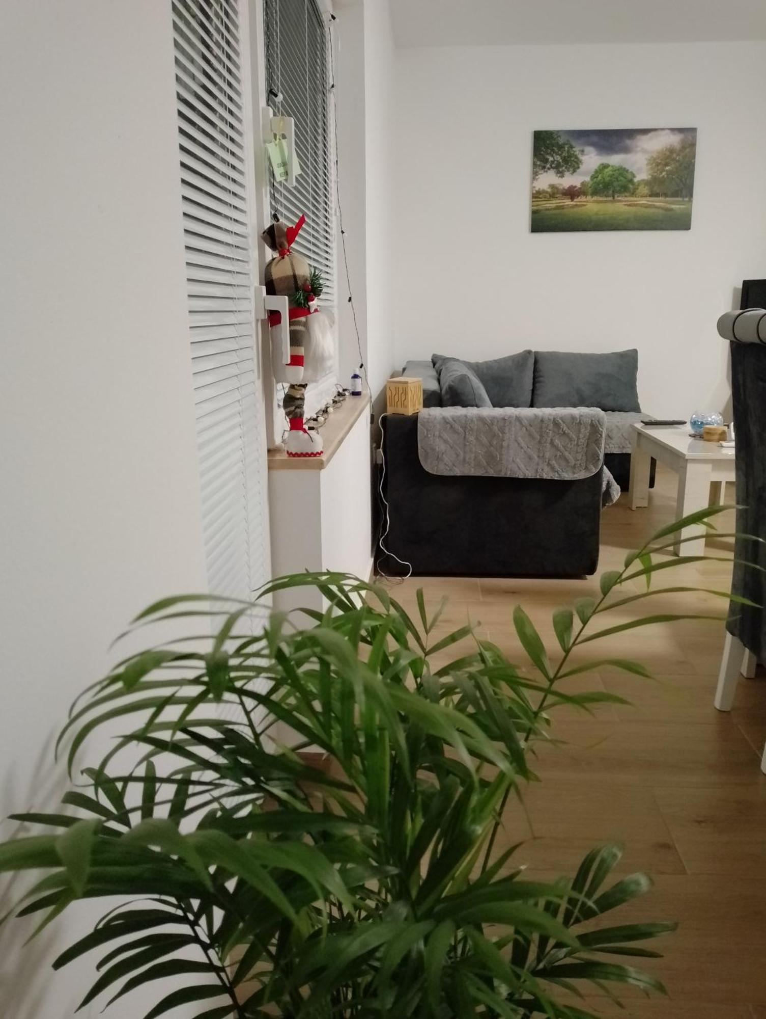 Apartman Dve Lipe Palic Bagian luar foto